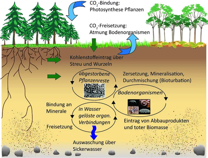 © MPI für Biogeochemie