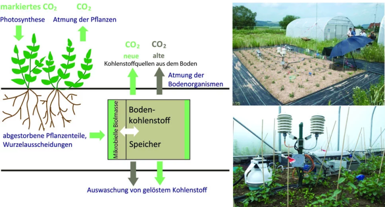 © MPI für Biogeochemie